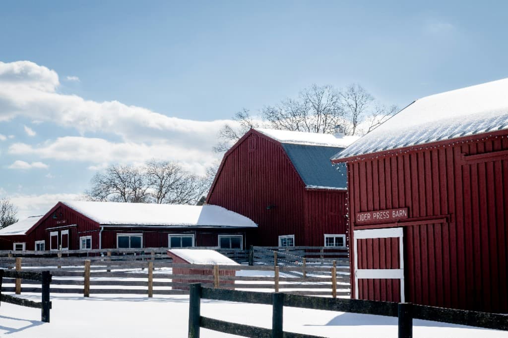 Snow-covered barns on a farm